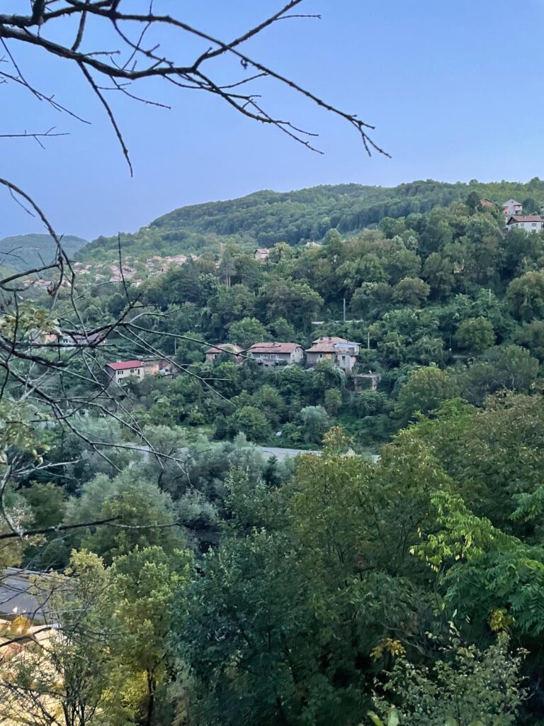 הטיולים שלנו photo 2026 05 28 17 29 31 (2)