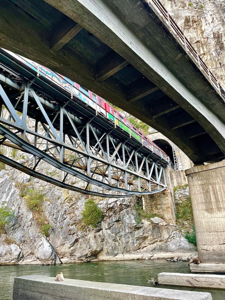 הטיולים שלנו photo 2026 05 28 17 29 31 (7)