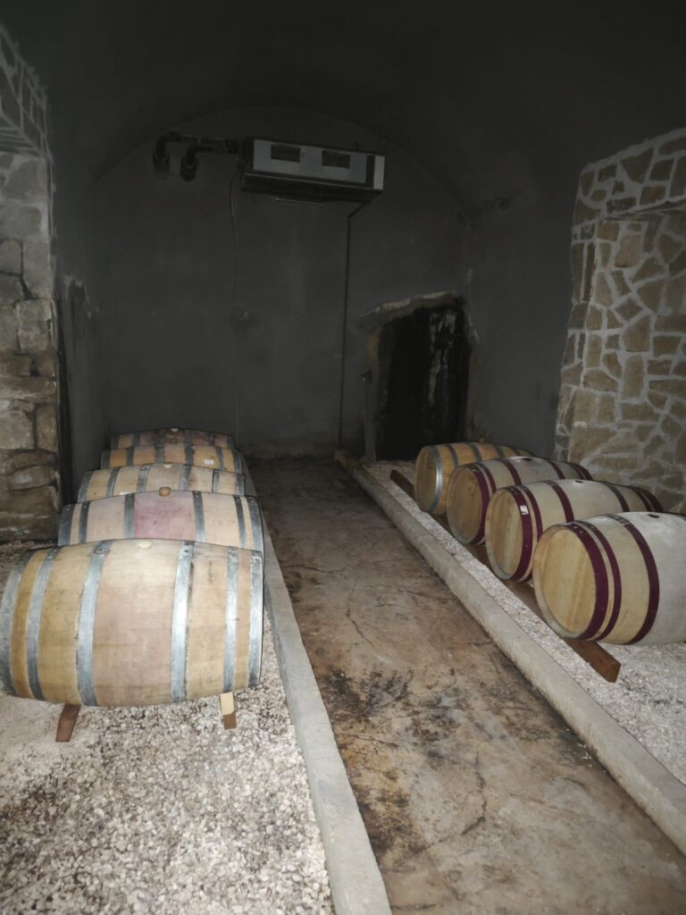 הטיולים שלנו photo 2026 06 02 12 13 19 (2)