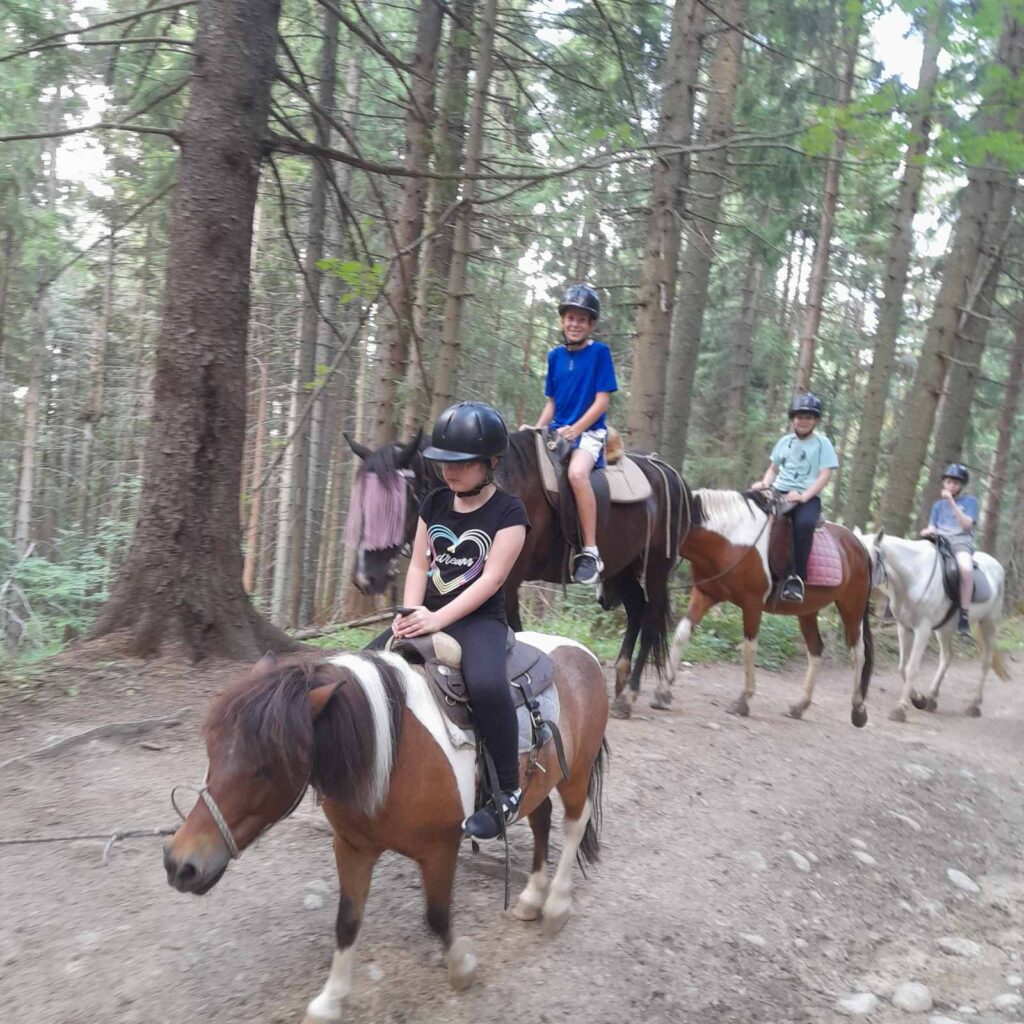 photo 2026 06 02 12 34 54