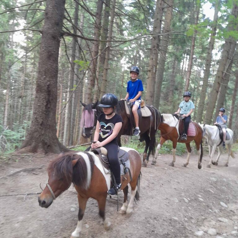 photo 2026 06 02 12 34 54